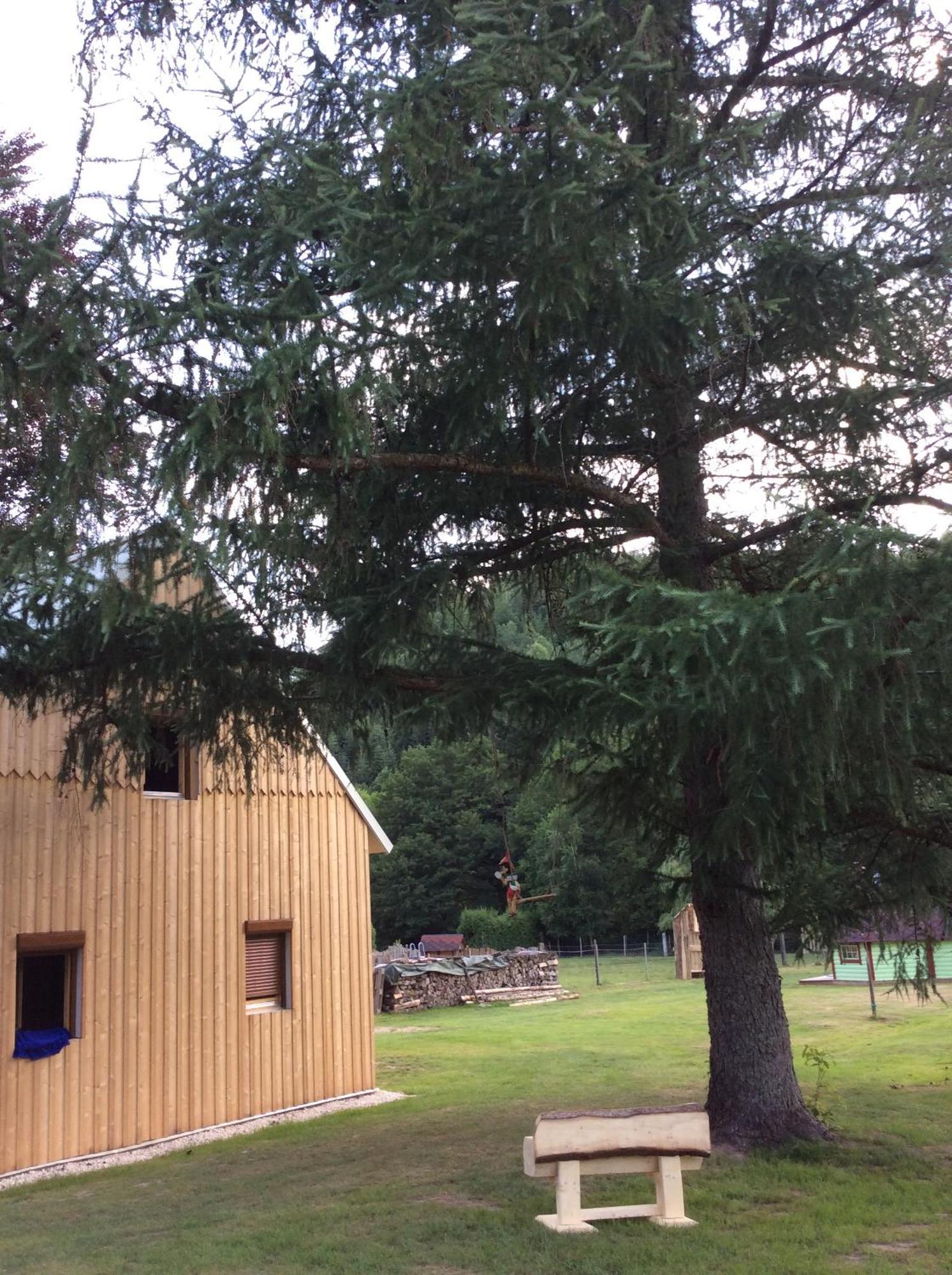 La Gambas Des Bois Villa Saint-Quirin Exterior foto